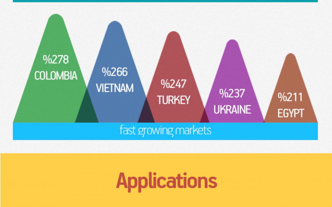 2013 World & Turkish Mobile Report